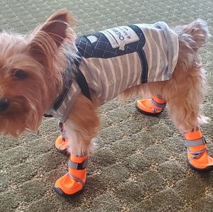 SOLD  Doggie Boots